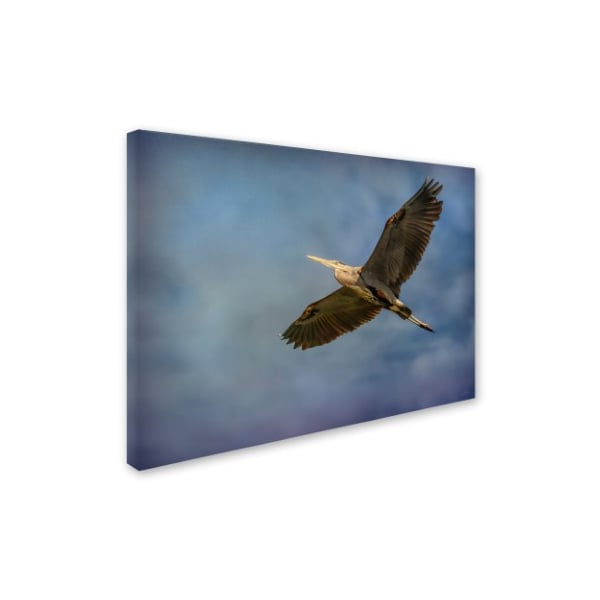 Jai Johnson 'Heron Overhead' Canvas Art,35x47